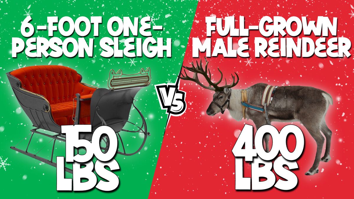 What Weighs More: Christmas Edition image number null